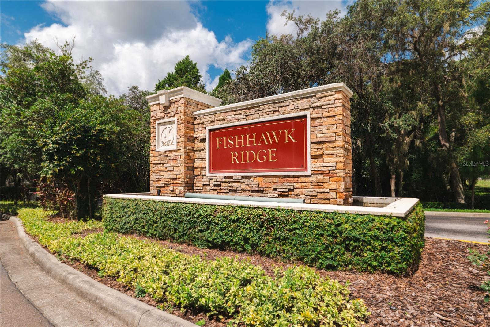 15838 FISHHAWK FALLS DR