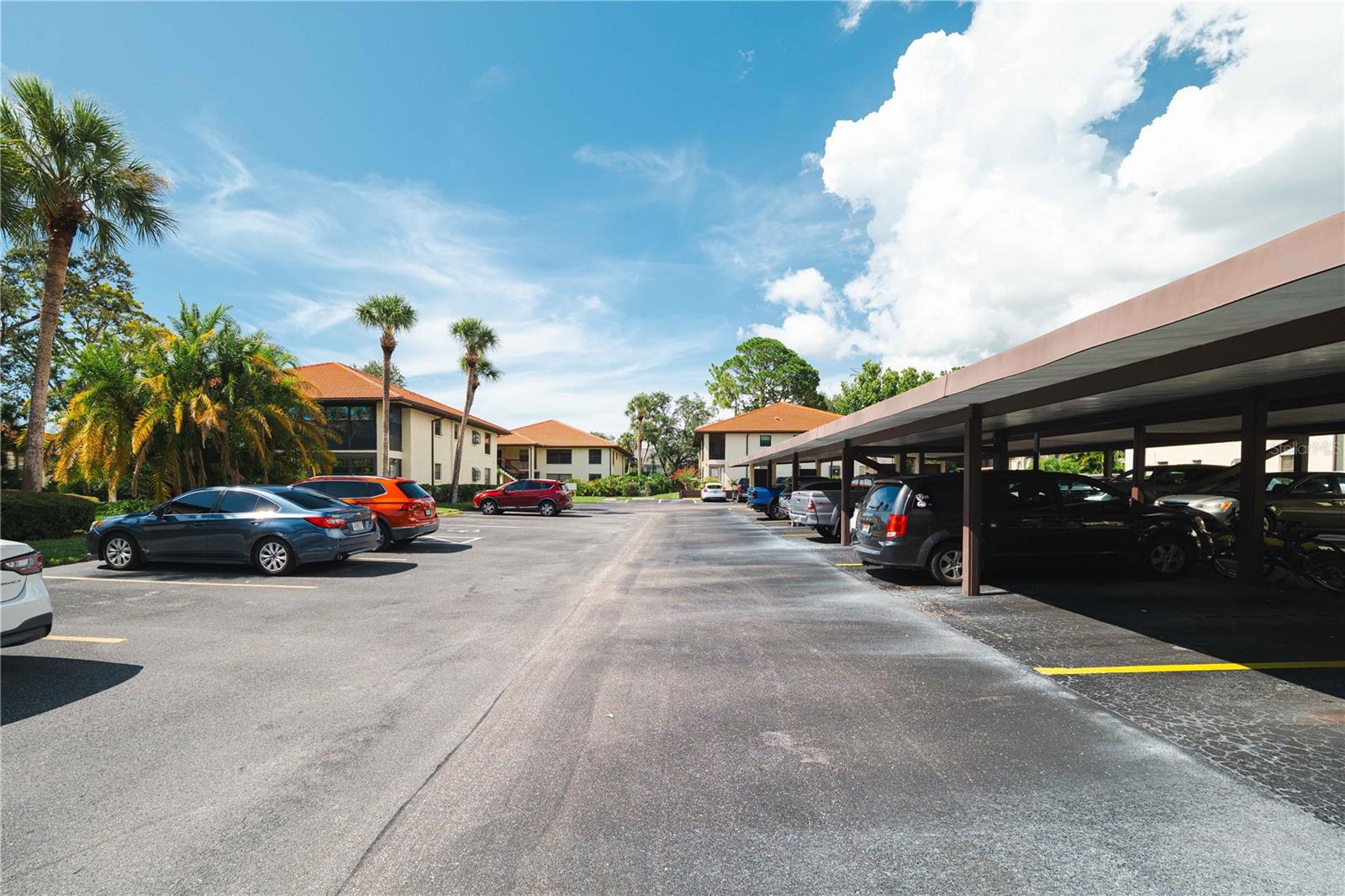 1109 HAMMOCK PINE BLVD