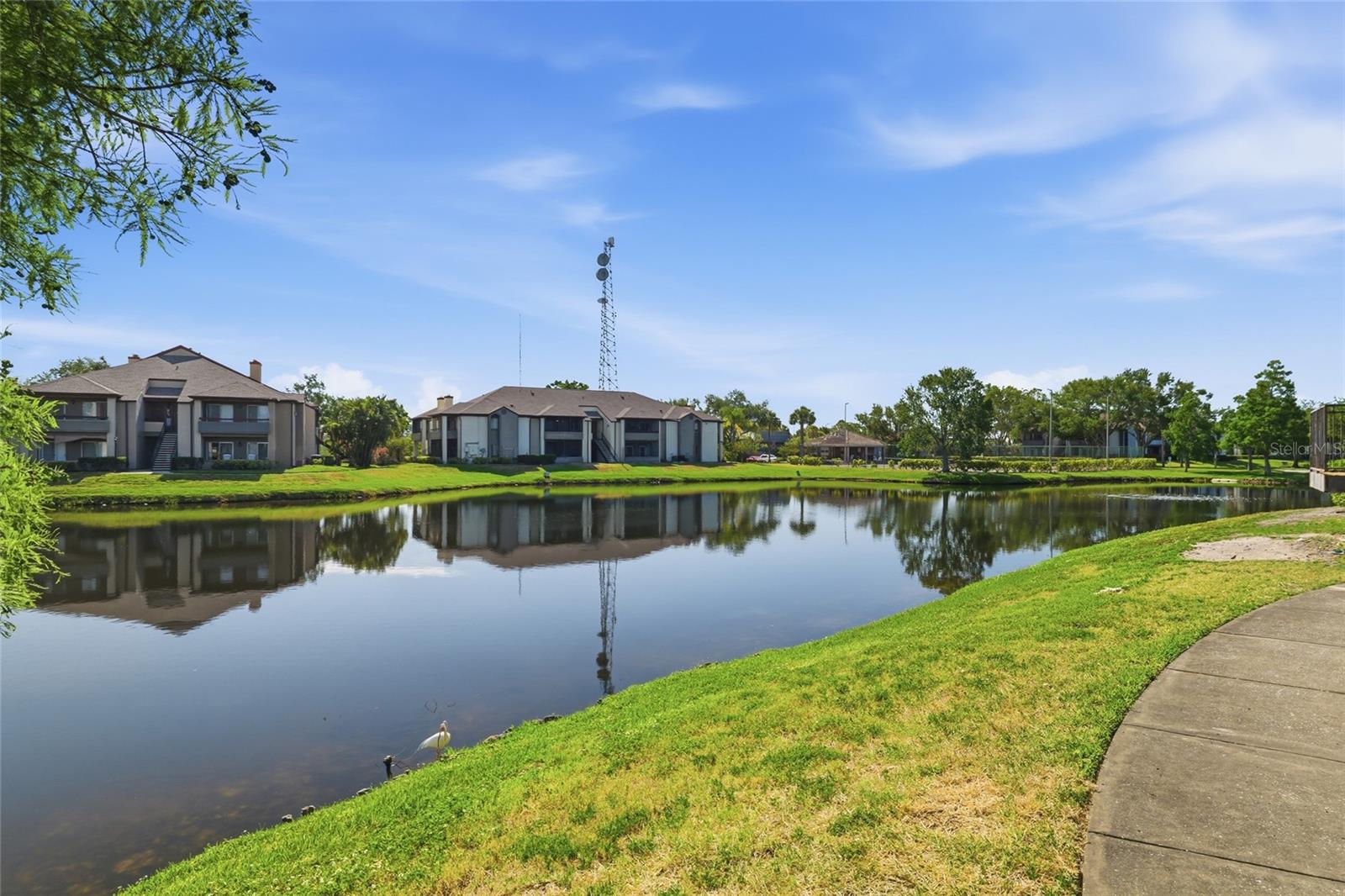 10265 GANDY BLVD N #1806