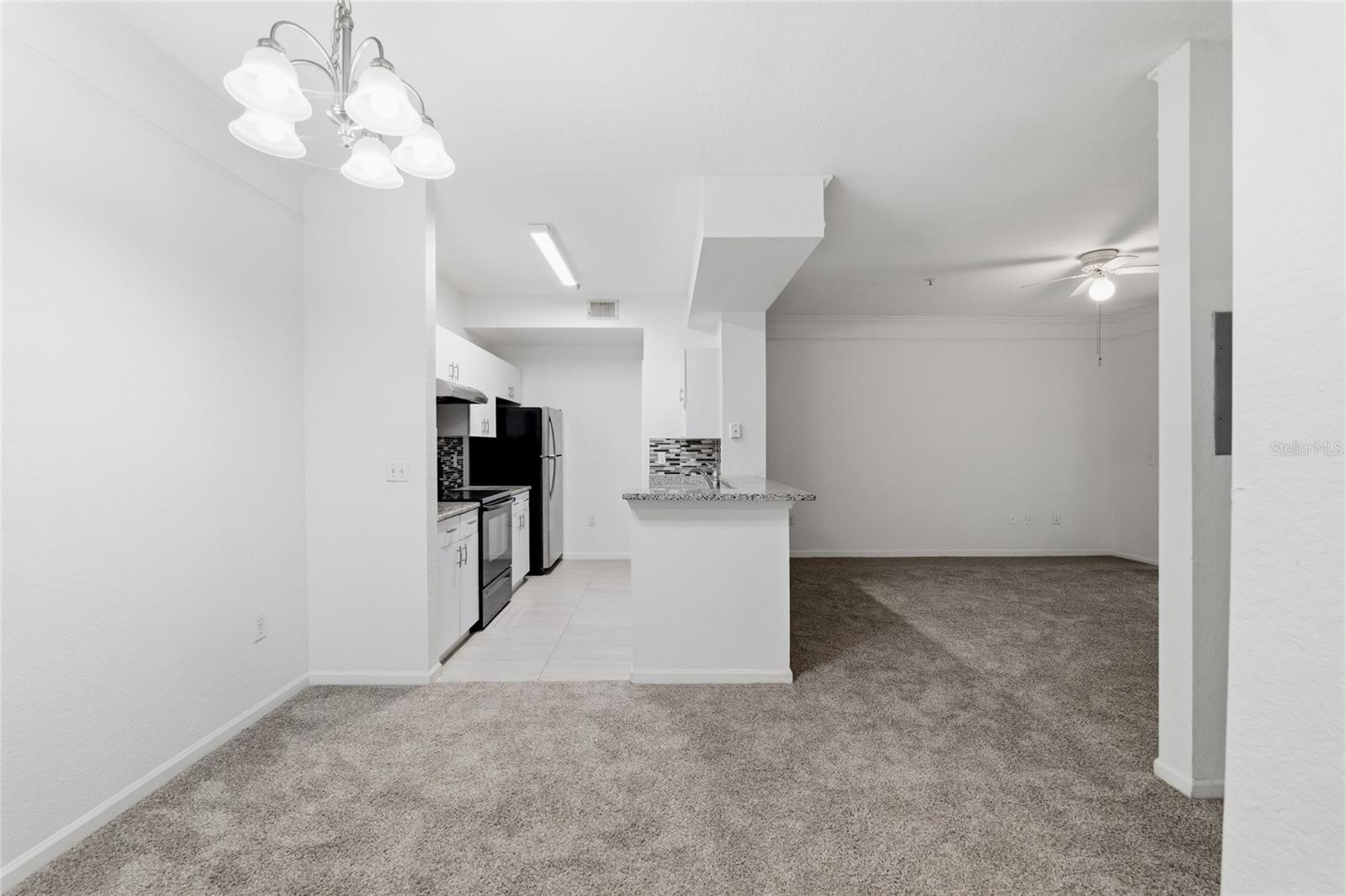 17112 CARRINGTON PARK DR #926