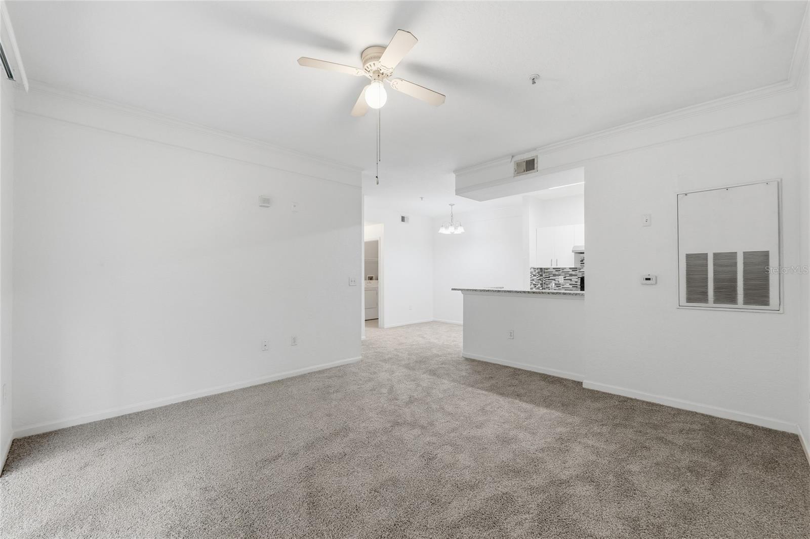17112 CARRINGTON PARK DR #926