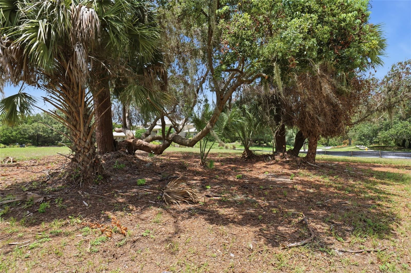 520 AUSTIN DR