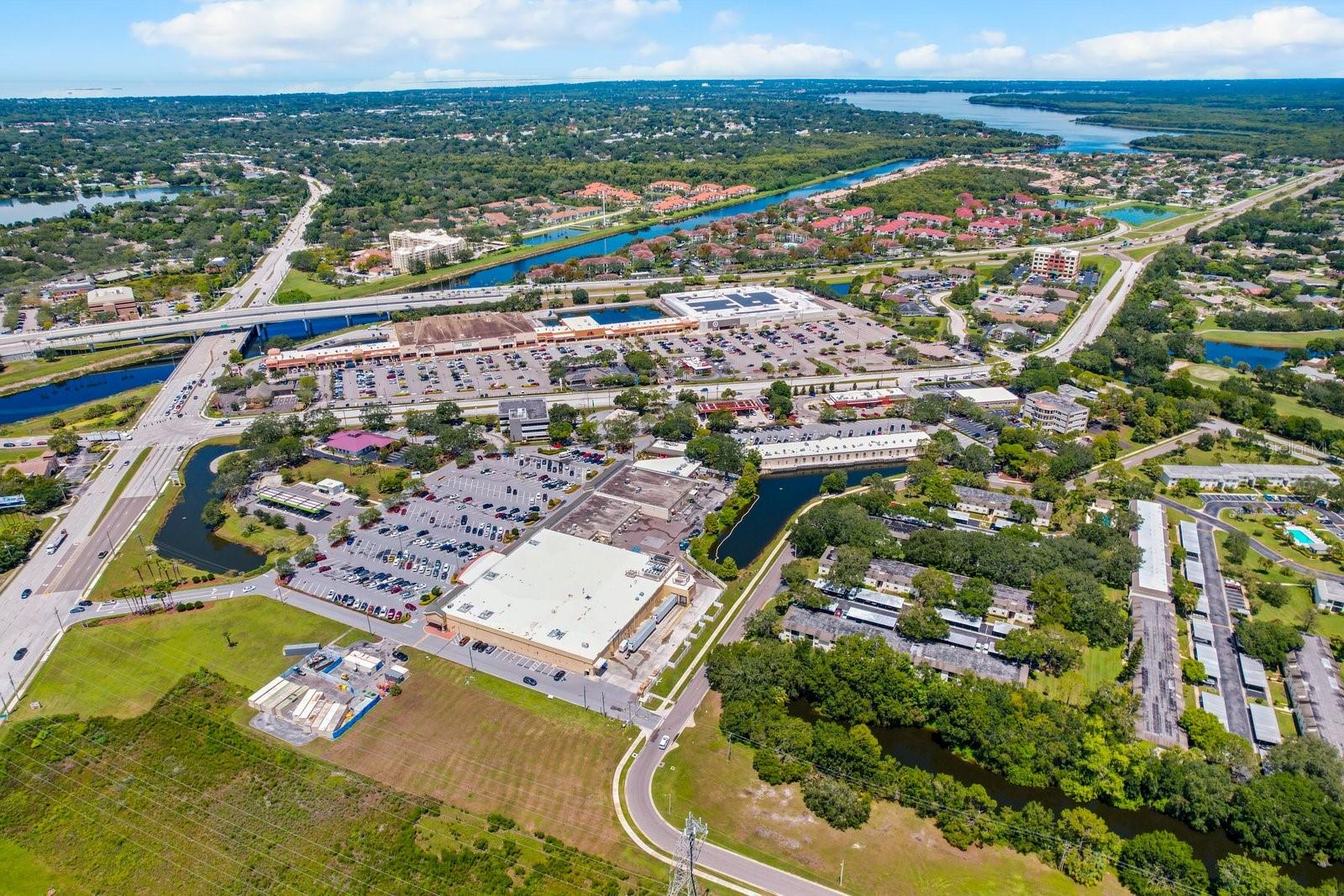 103 PALMETTO CT #103