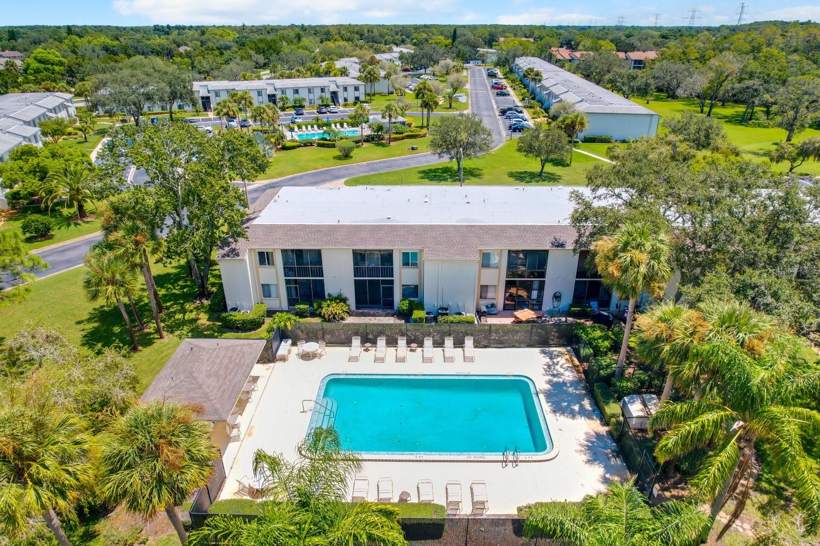 103 PALMETTO CT #103