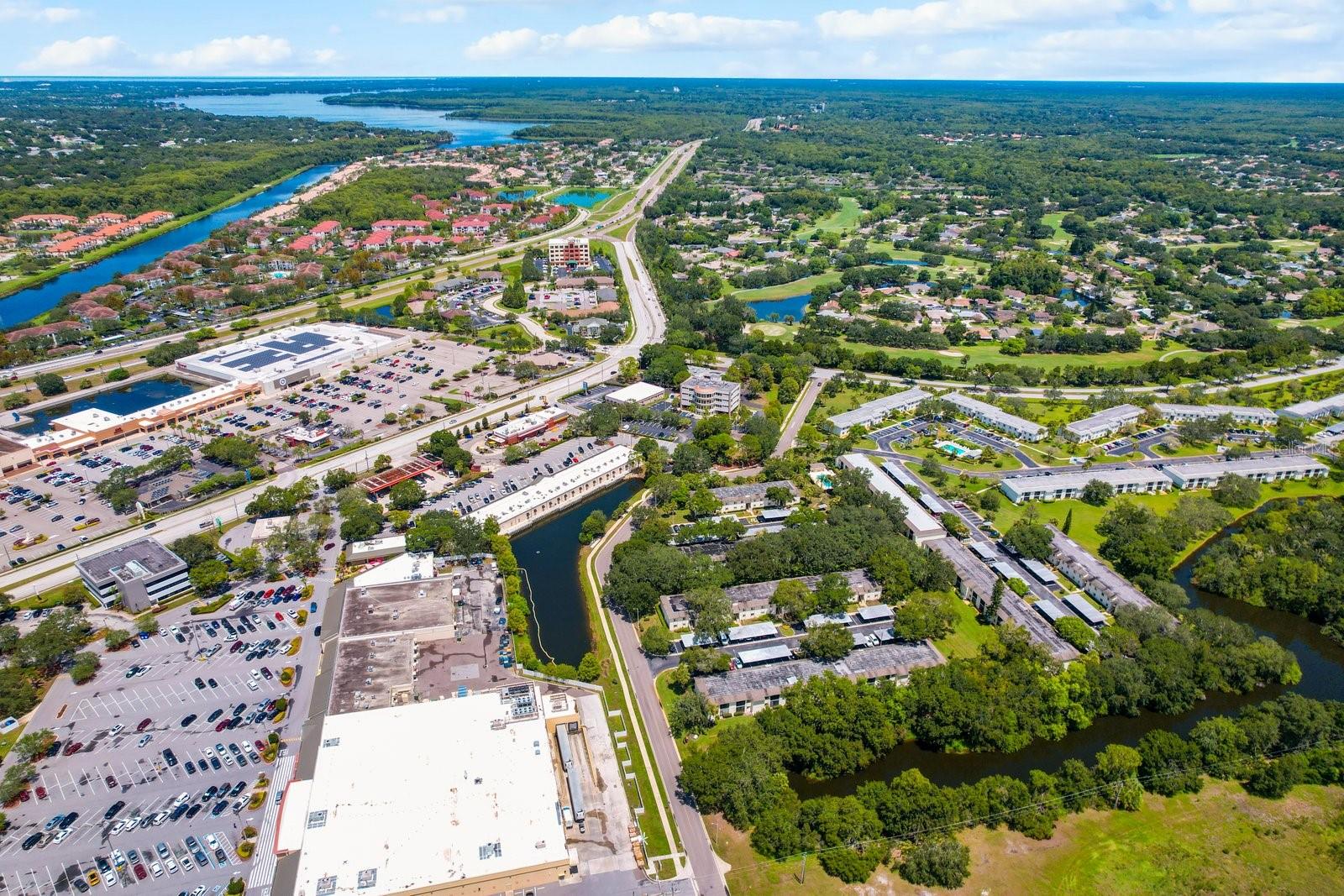 103 PALMETTO CT #103