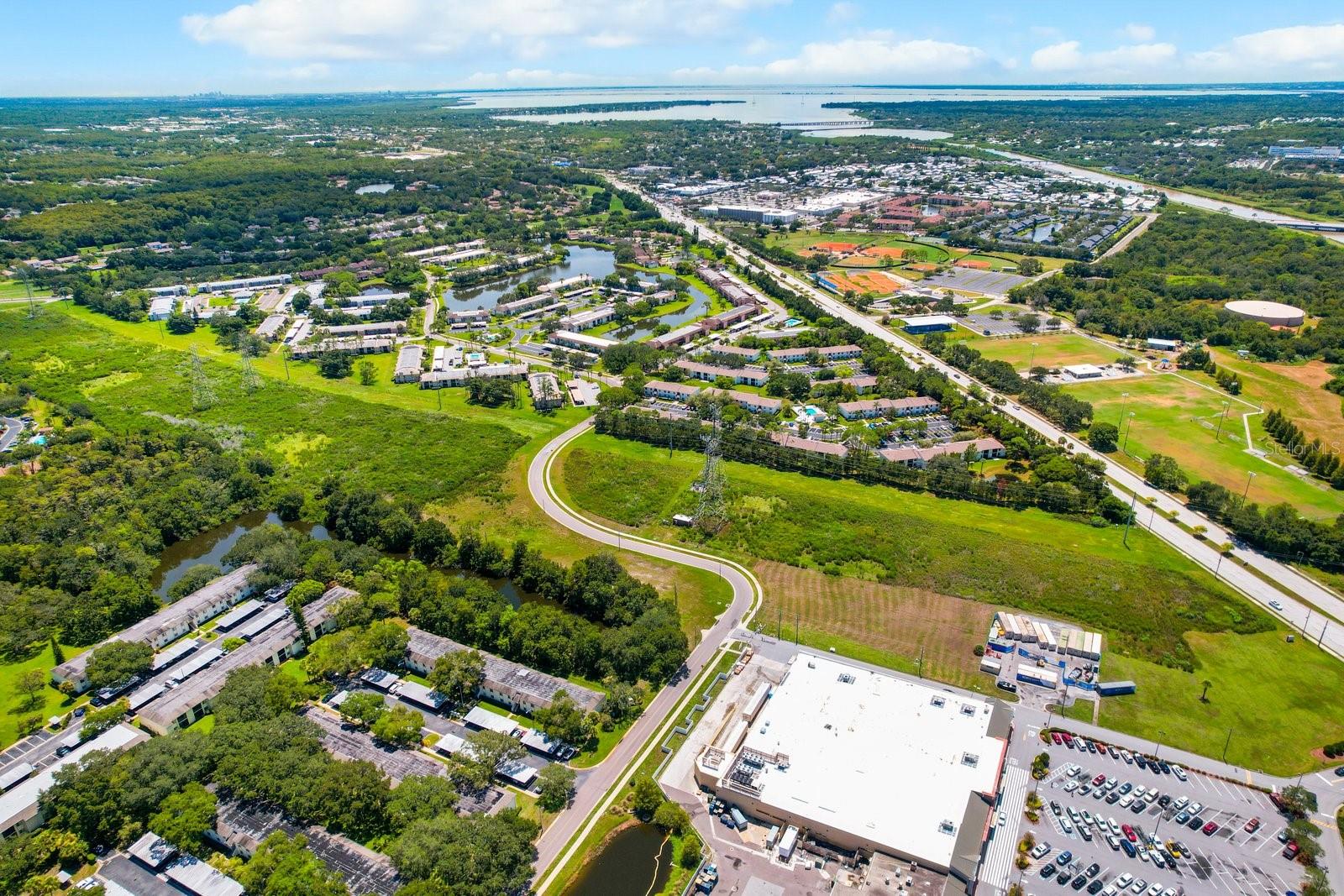 103 PALMETTO CT #103