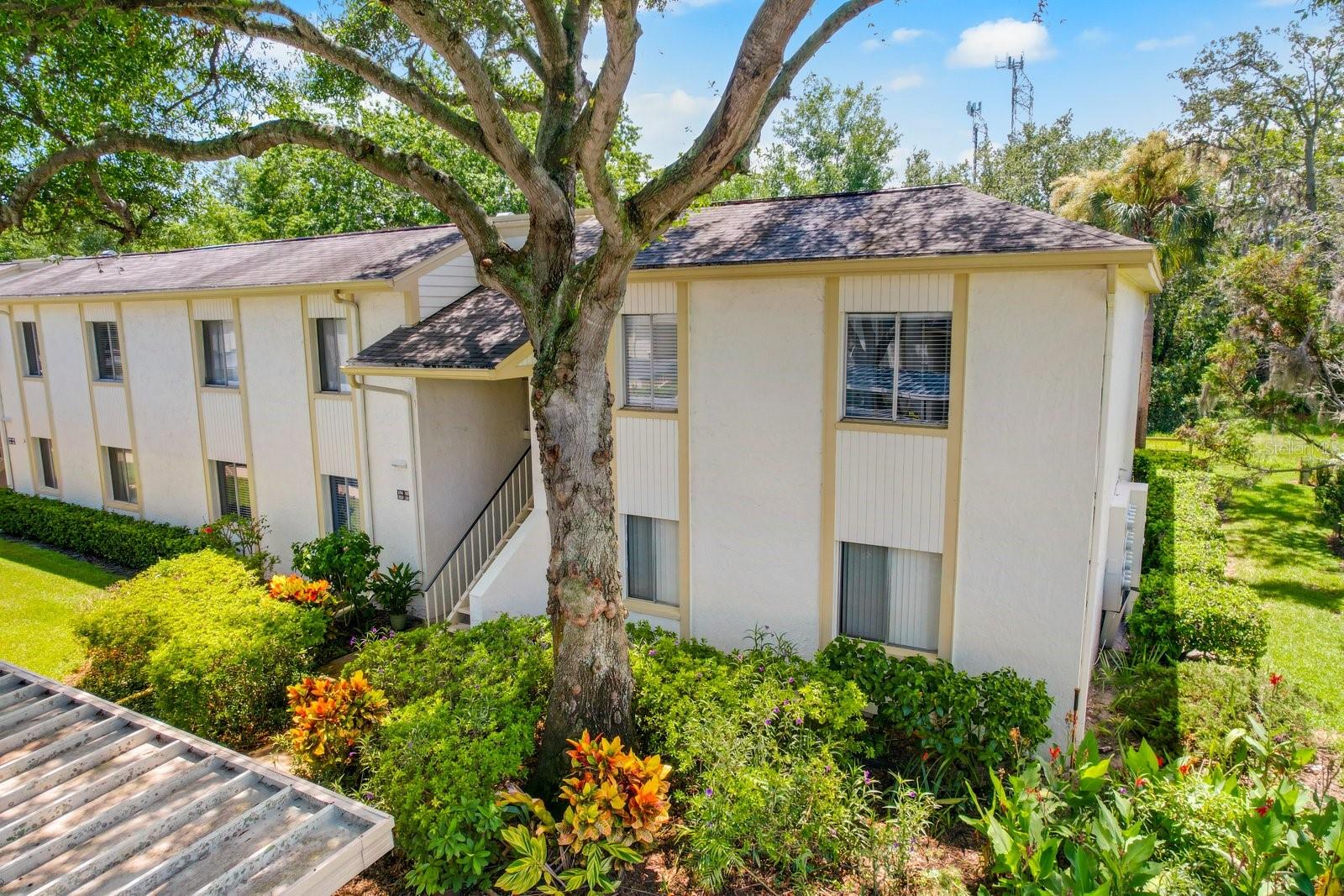 103 PALMETTO CT #103