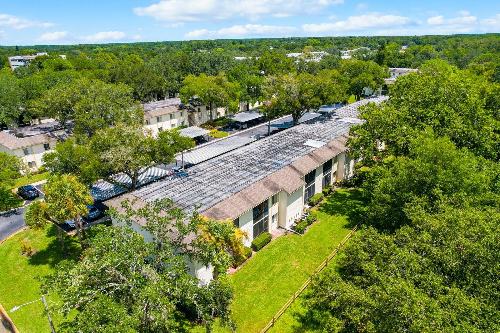 103 PALMETTO CT #103