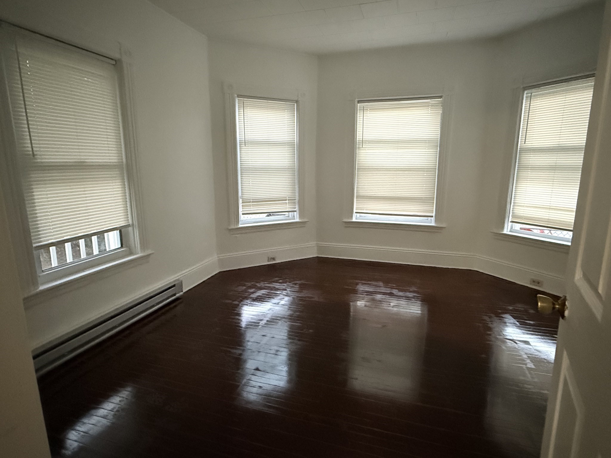 20 Woodbine Street # 1
