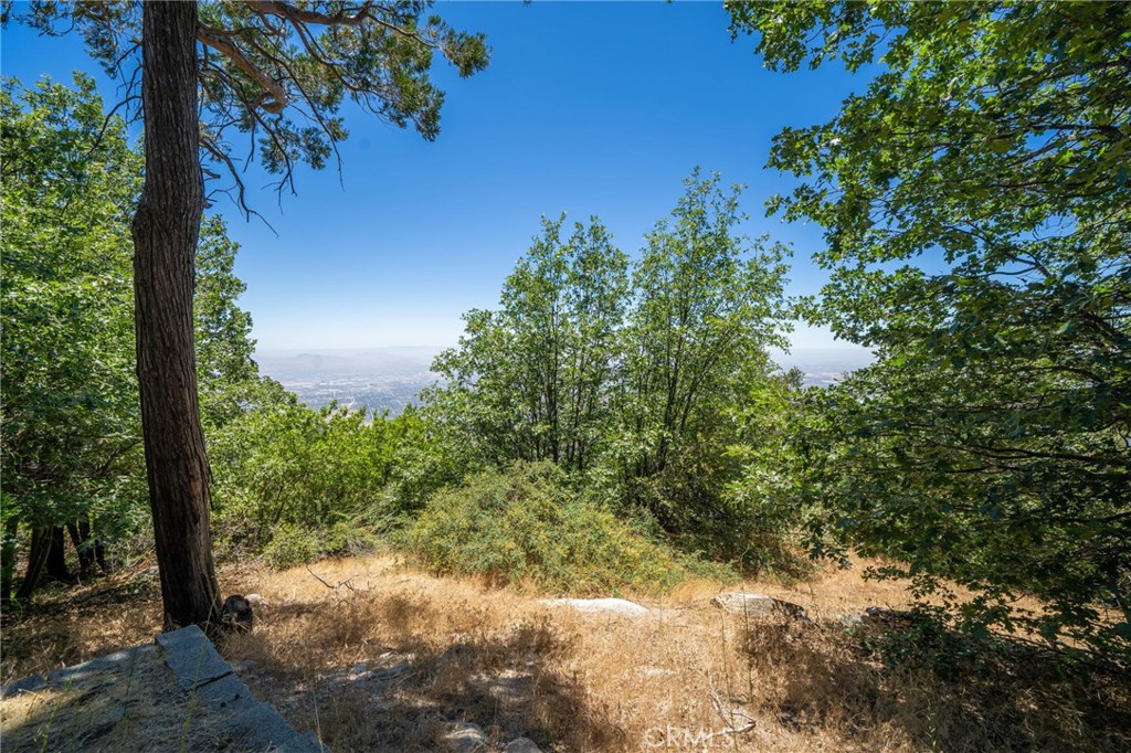 24495 Great View Drive