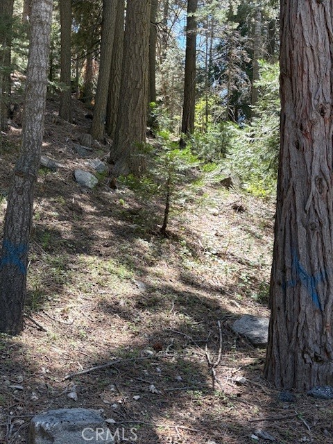 26101 Boulder Lane