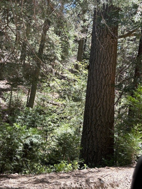 26101 Boulder Lane