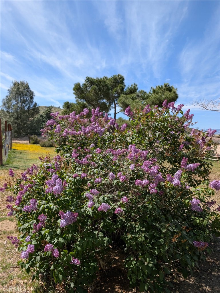 46404 Kings Canyon Road