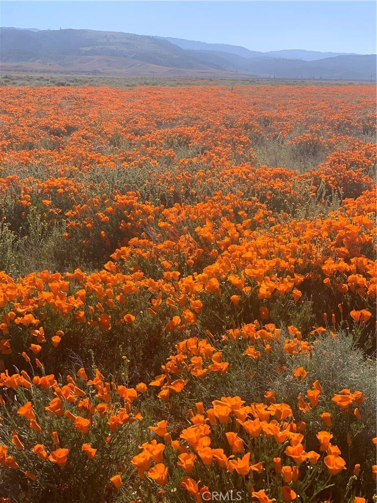 46404 Kings Canyon Road