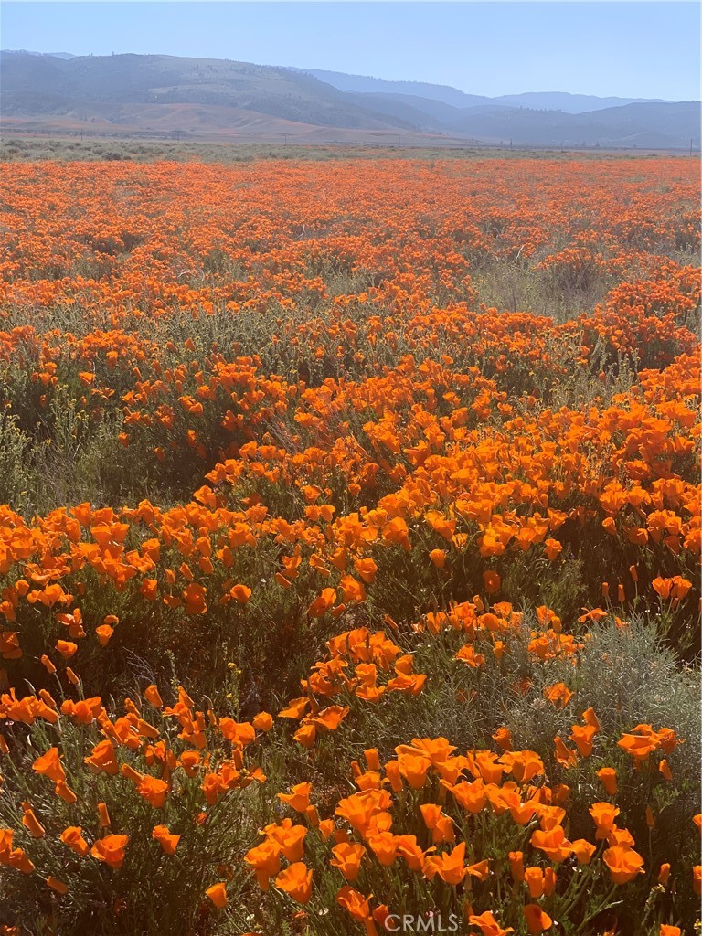 46404 Kings Canyon Road