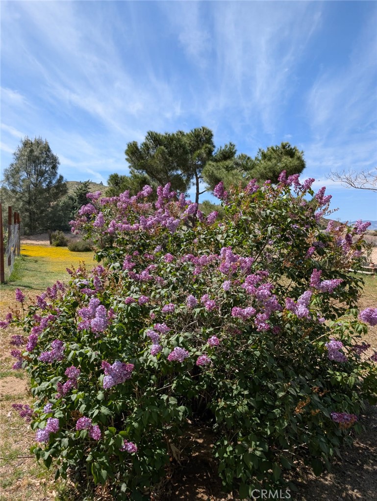 46404 Kings Canyon Road