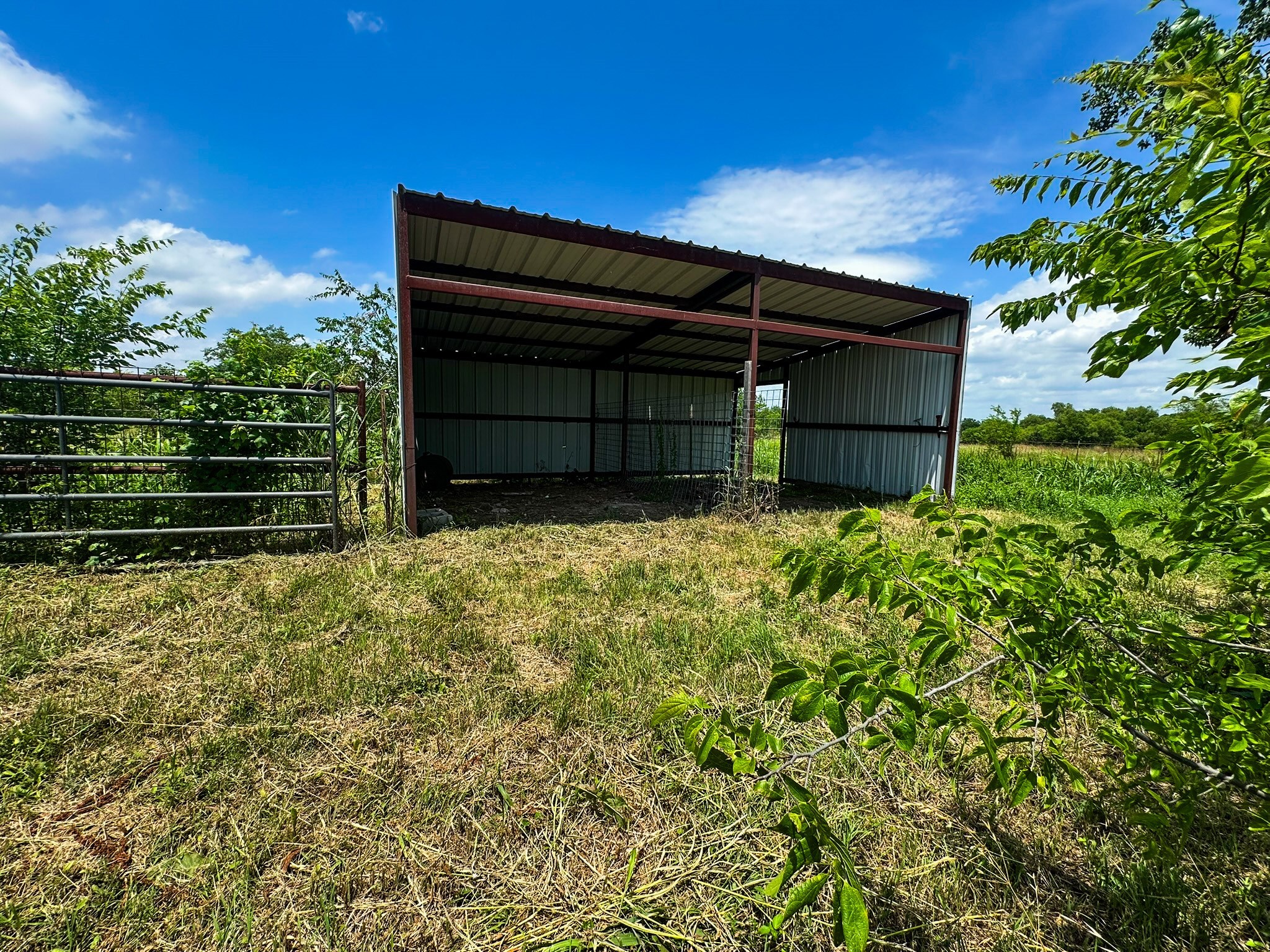 10333 County Road 491