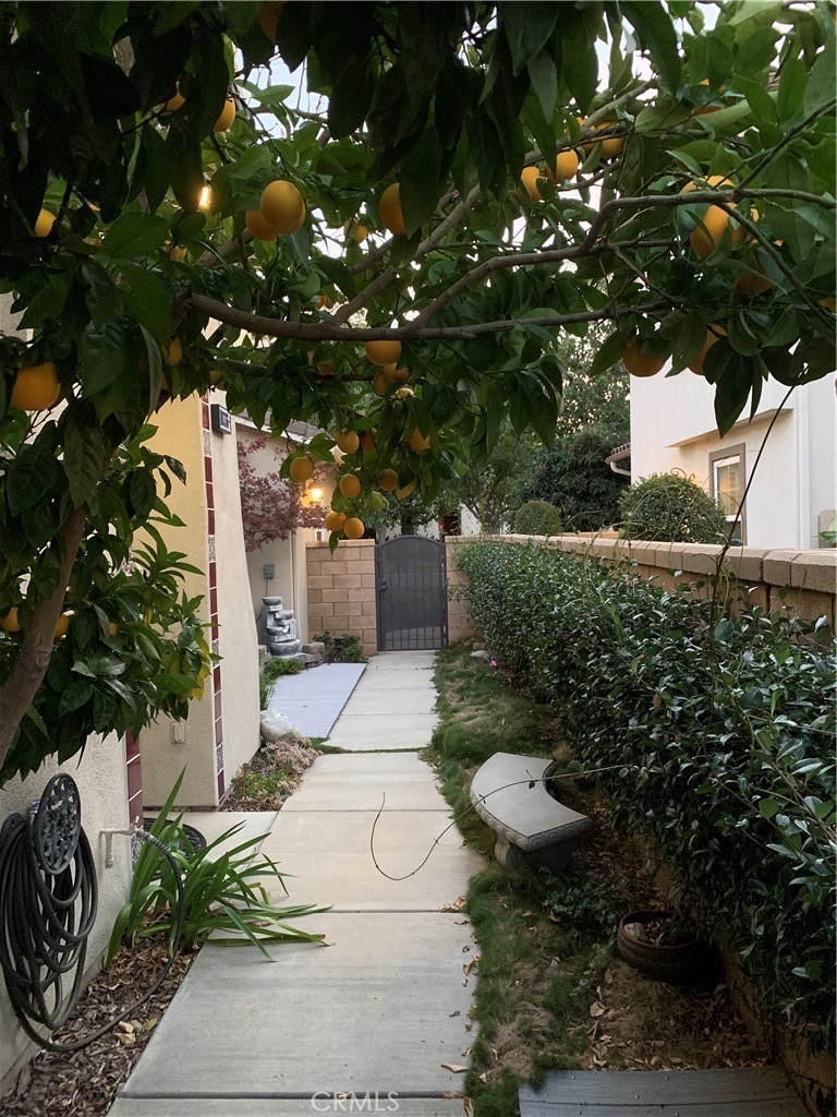 10336 Plumeria Court 1