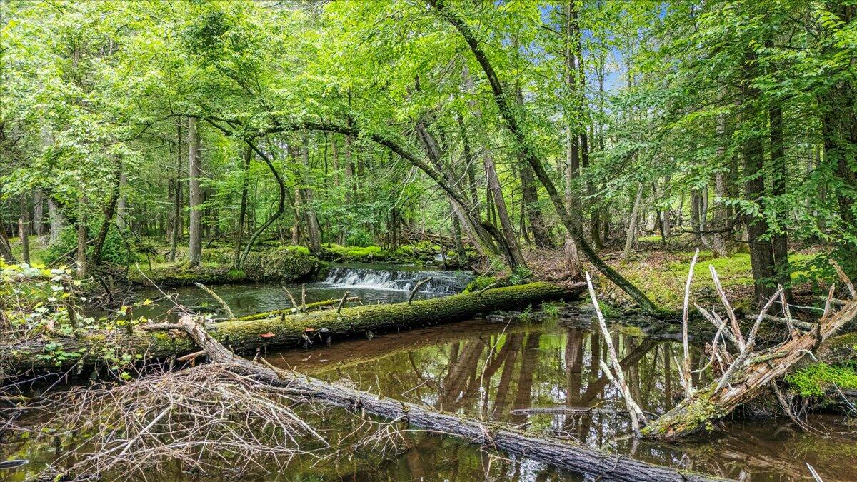 1079 Marshalls Creek Road