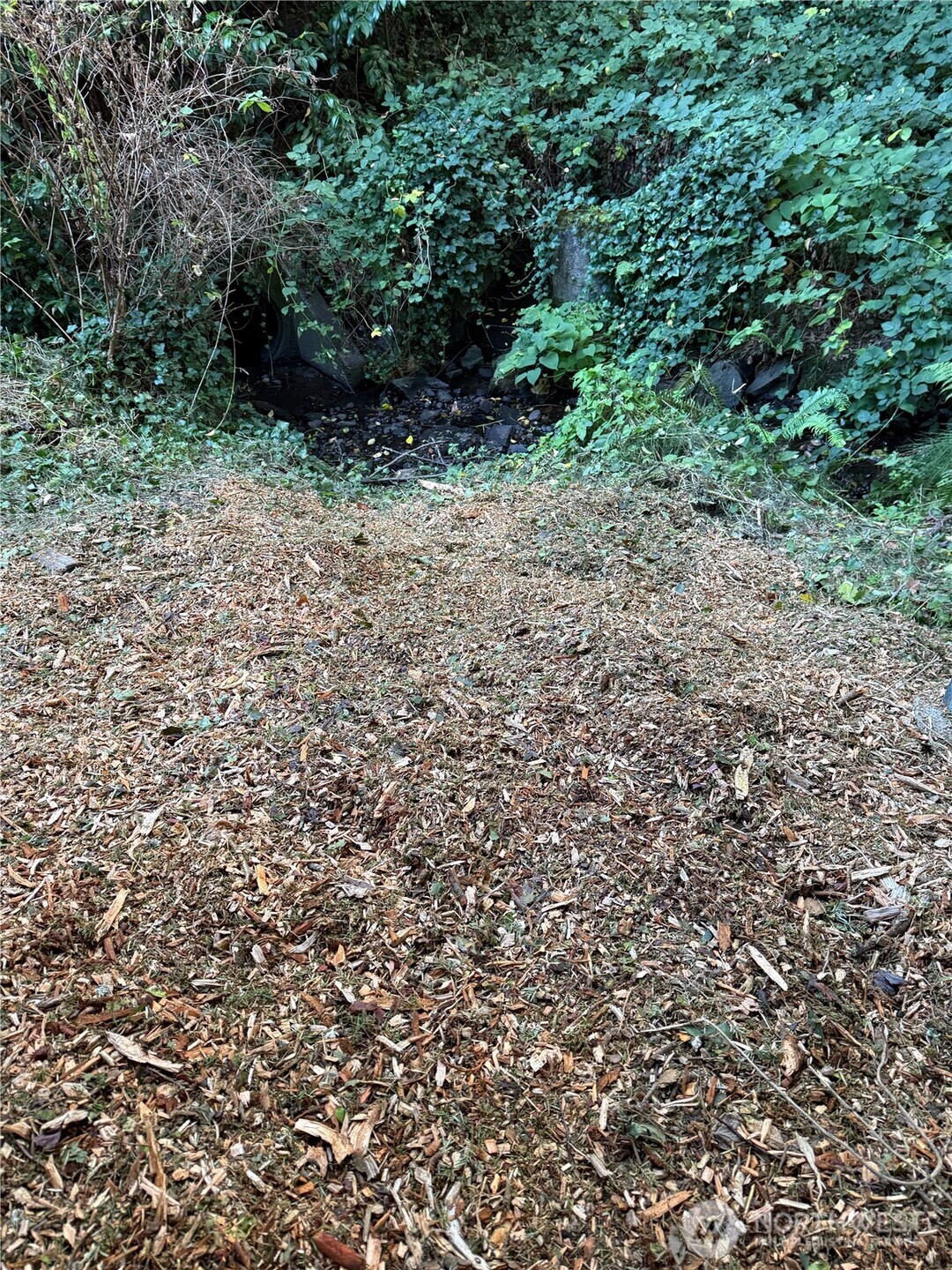 3518 NE 123rd Street