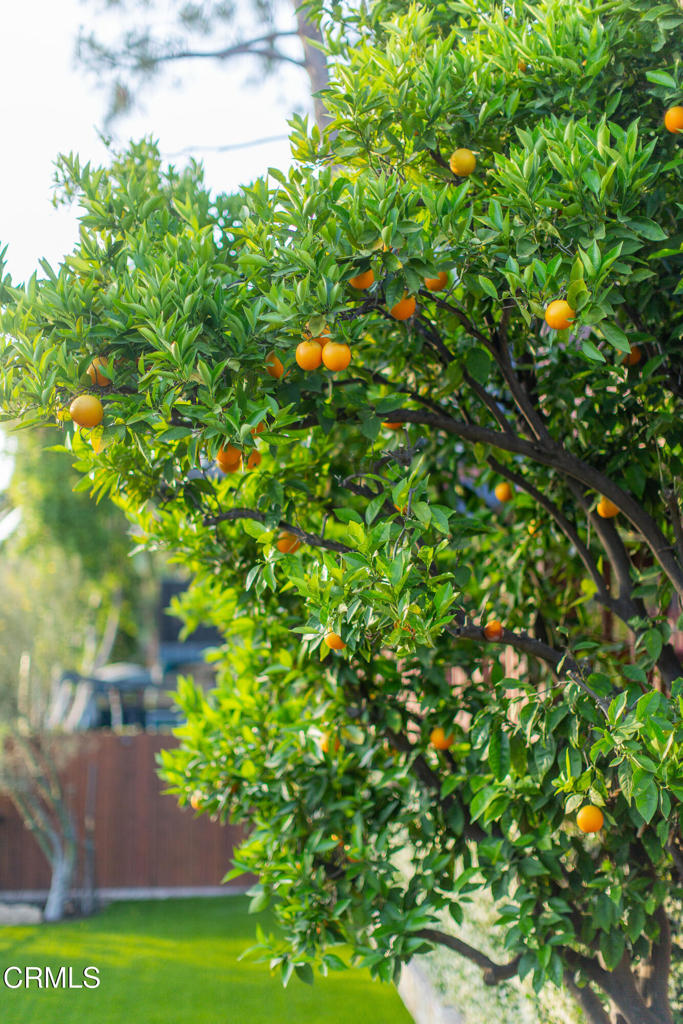 3880 Clayton Avenue W