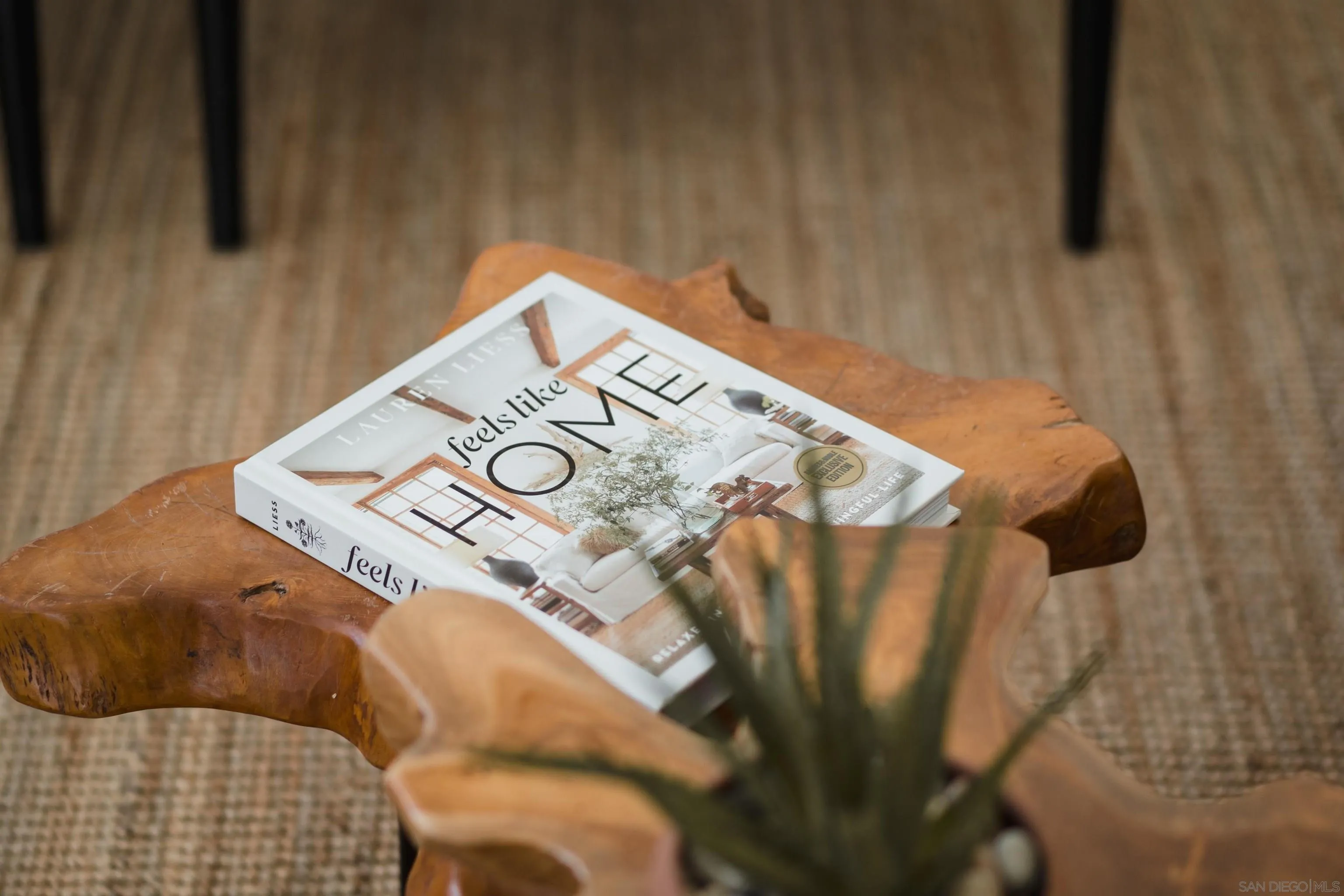 12858 Caminito En Flor