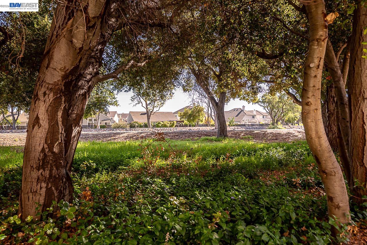 Soares Ranch Community!