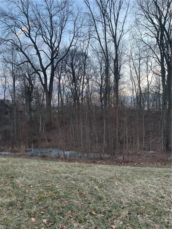 20250 Chatham Creek Drive