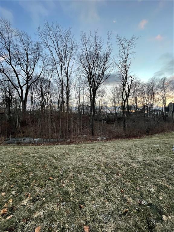 20250 Chatham Creek Drive