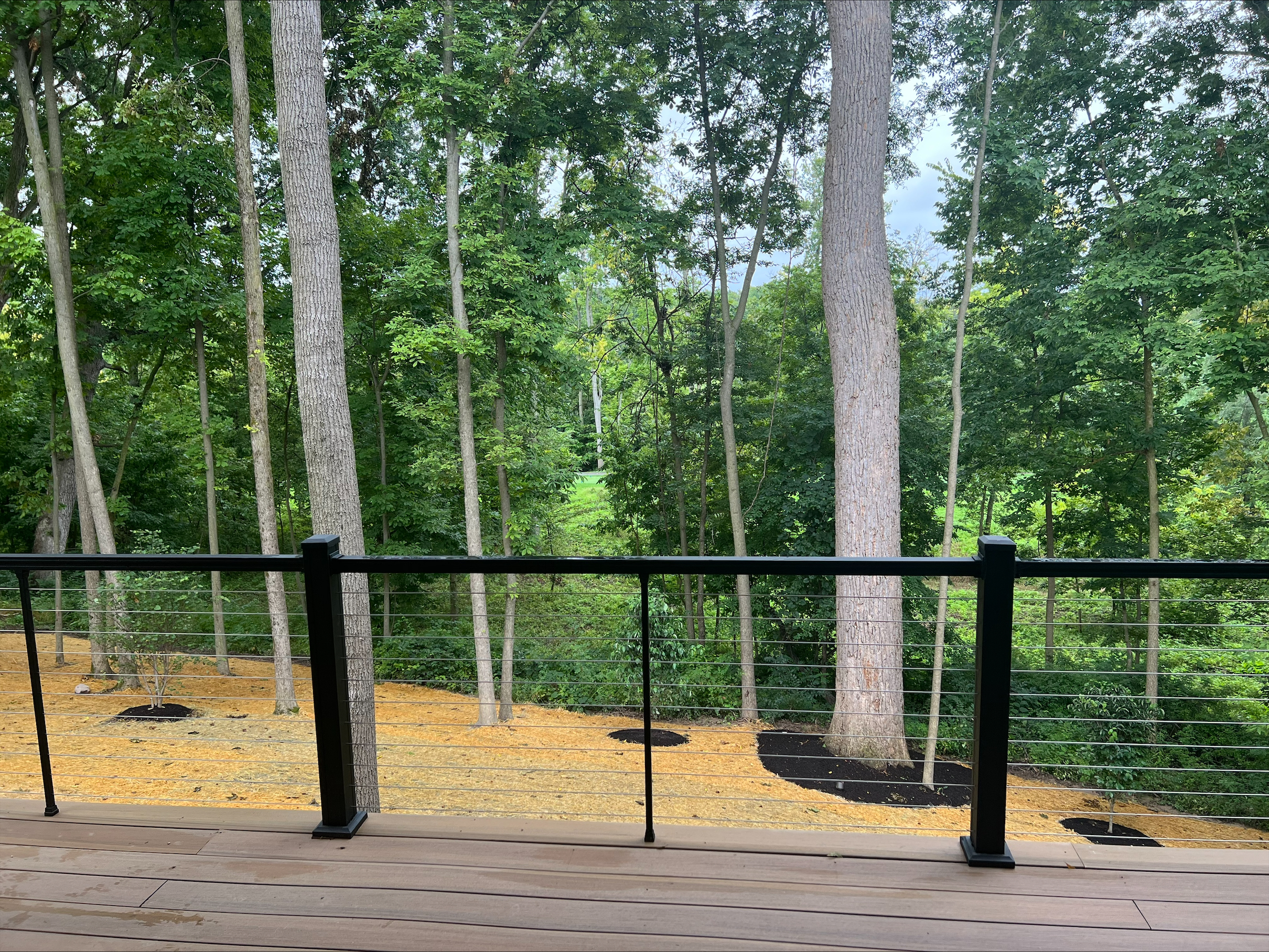 1597 Forest Hills Drive