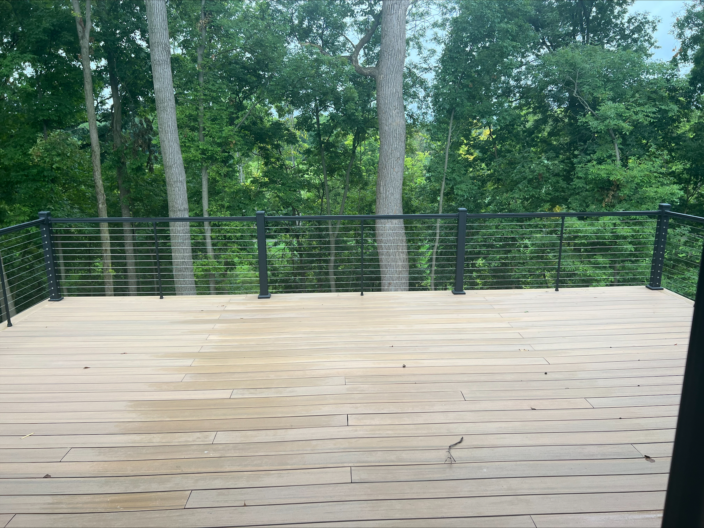 1597 Forest Hills Drive