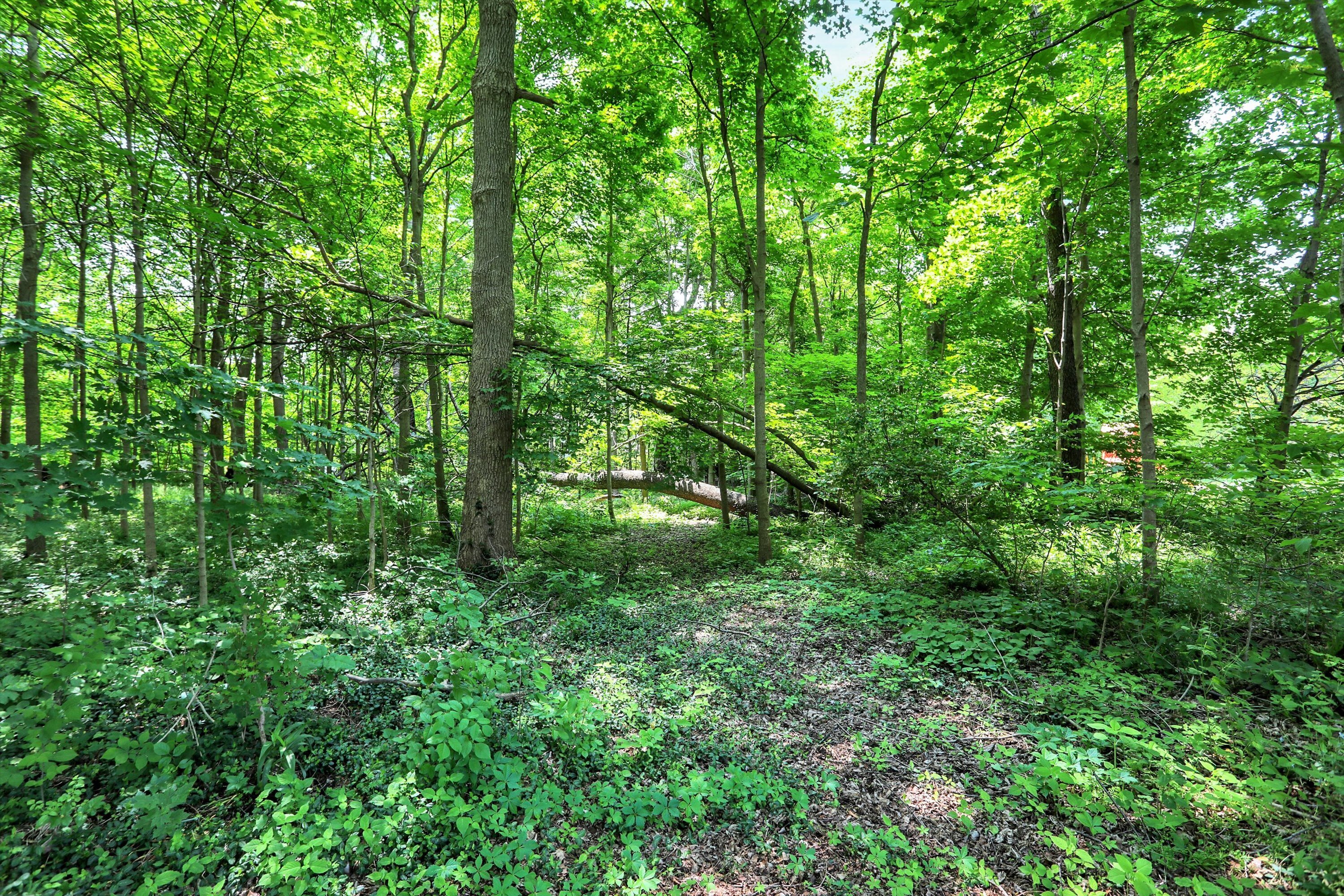 6119 Clearview Drive