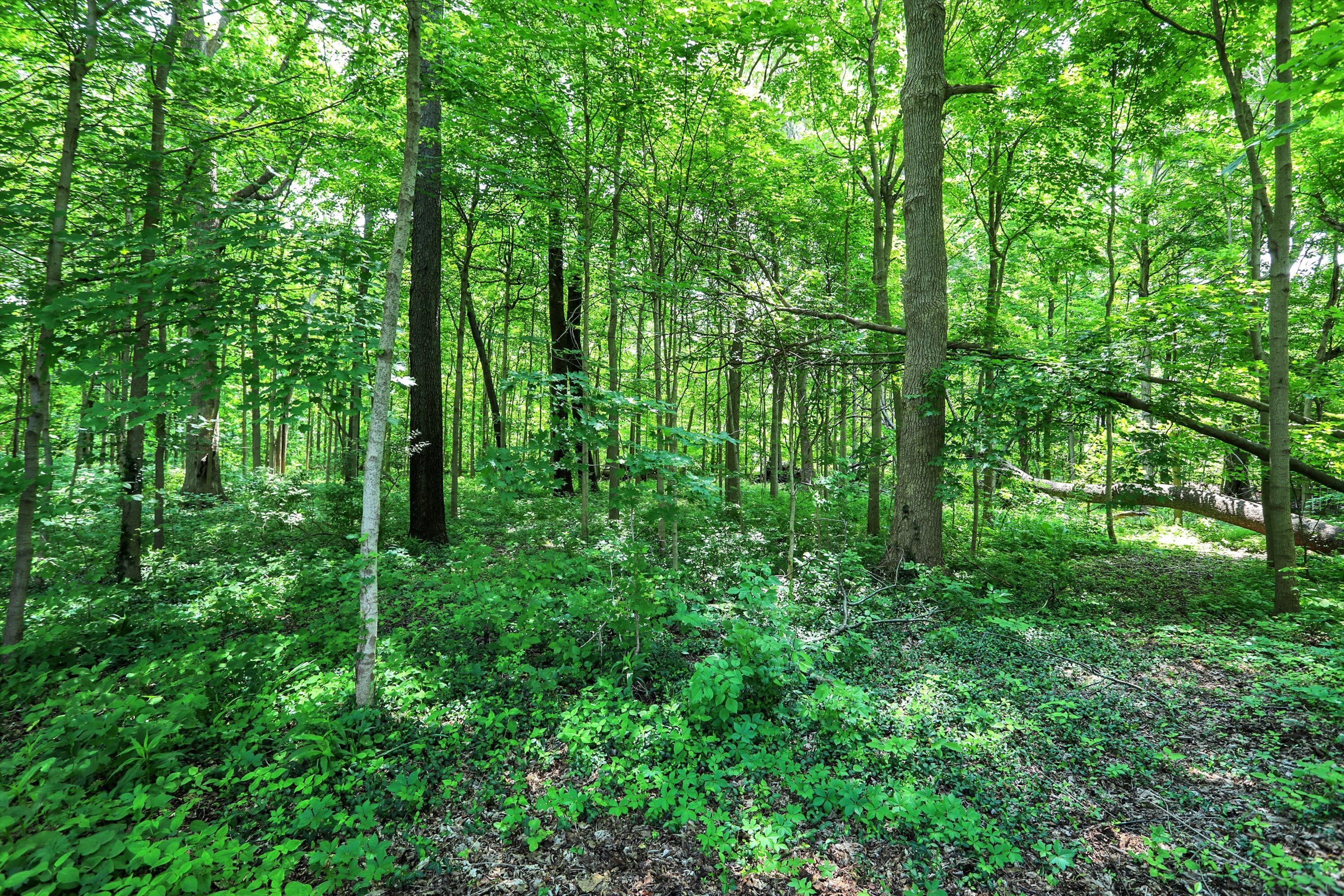 6119 Clearview Drive