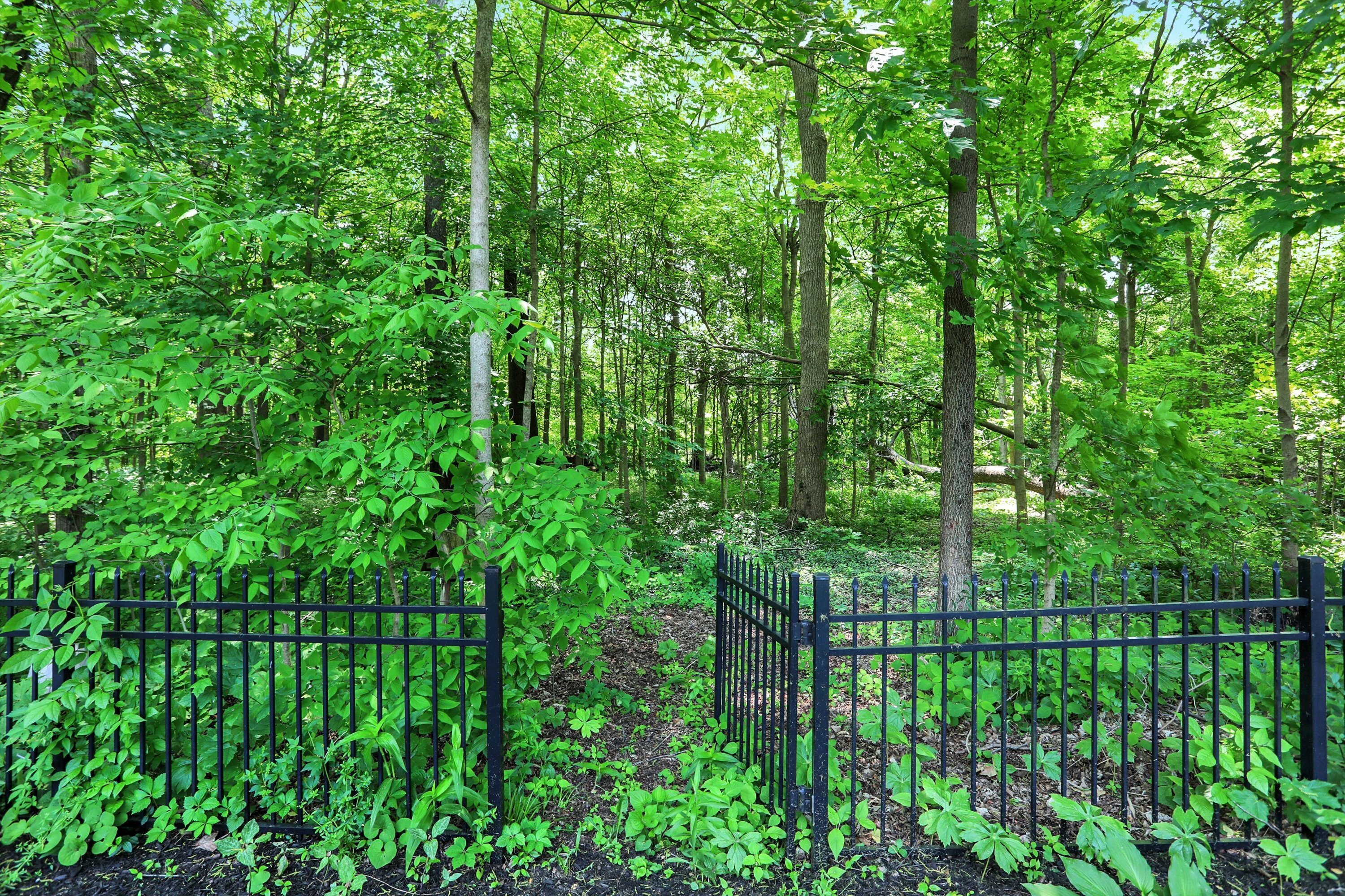 6119 Clearview Drive