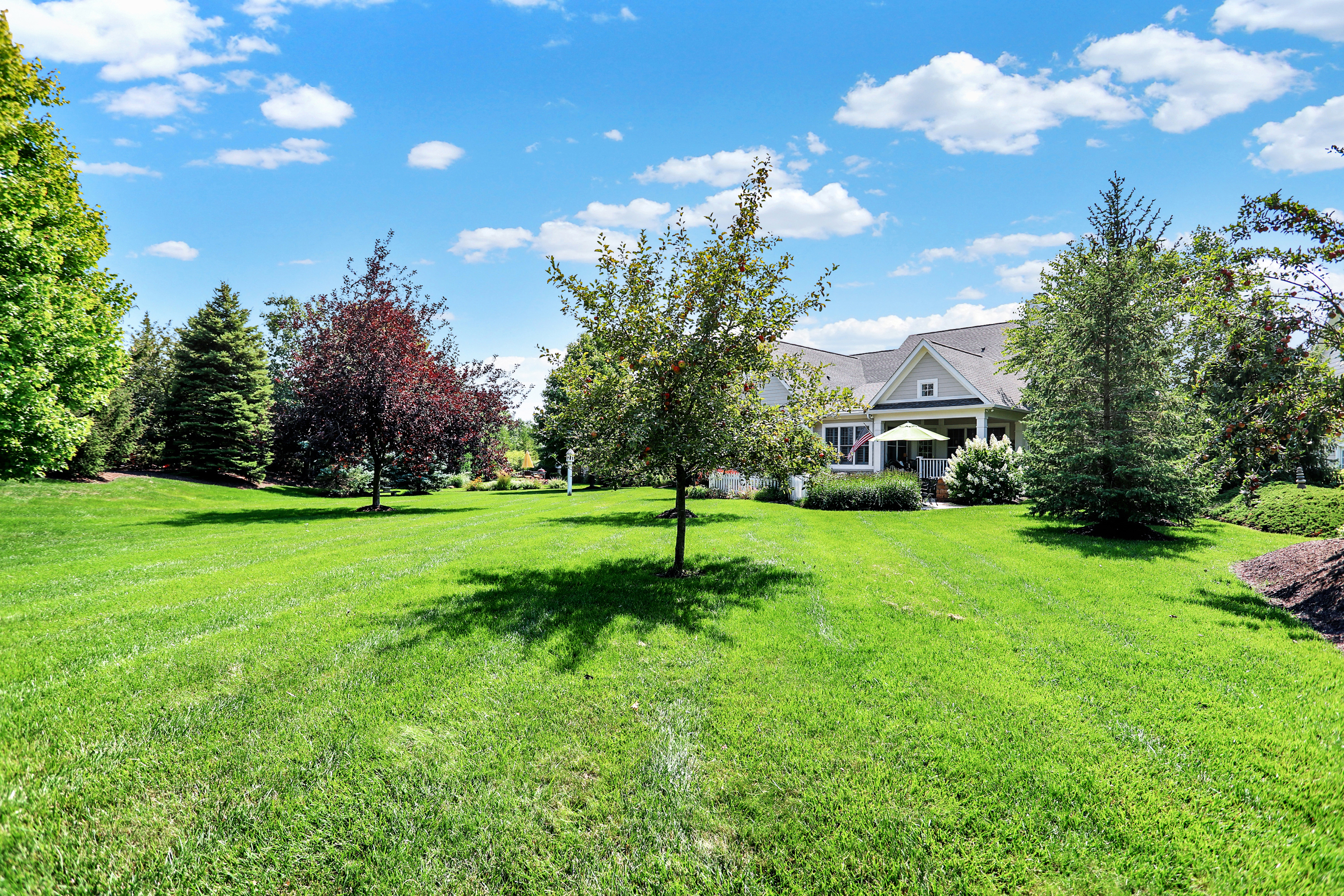 15765 Market Center Drive