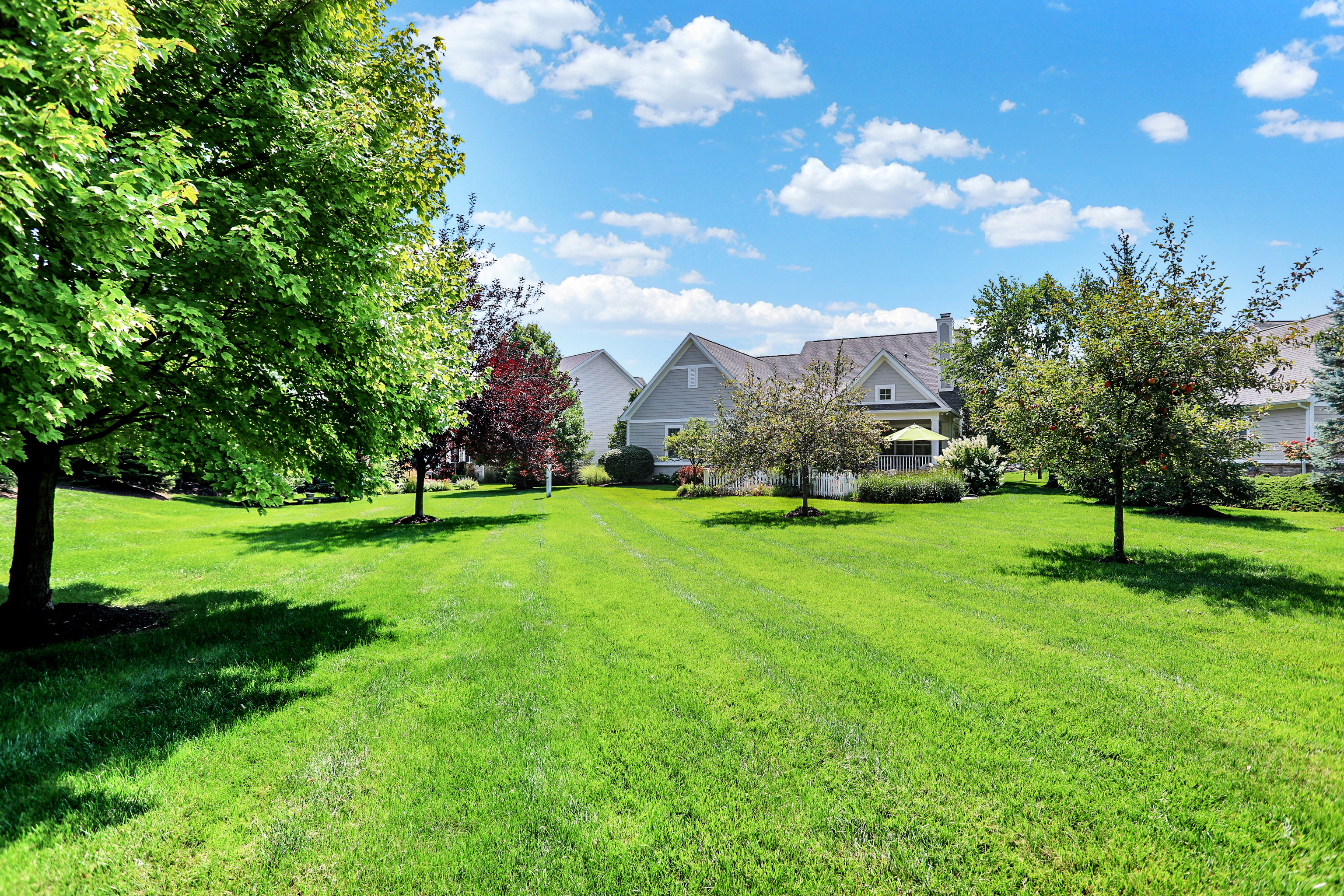 15765 Market Center Drive