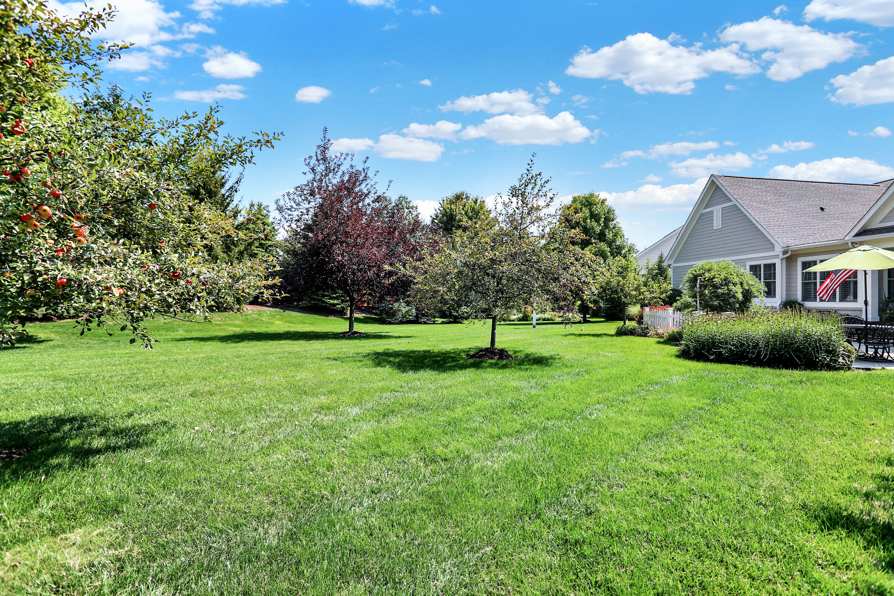 15765 Market Center Drive