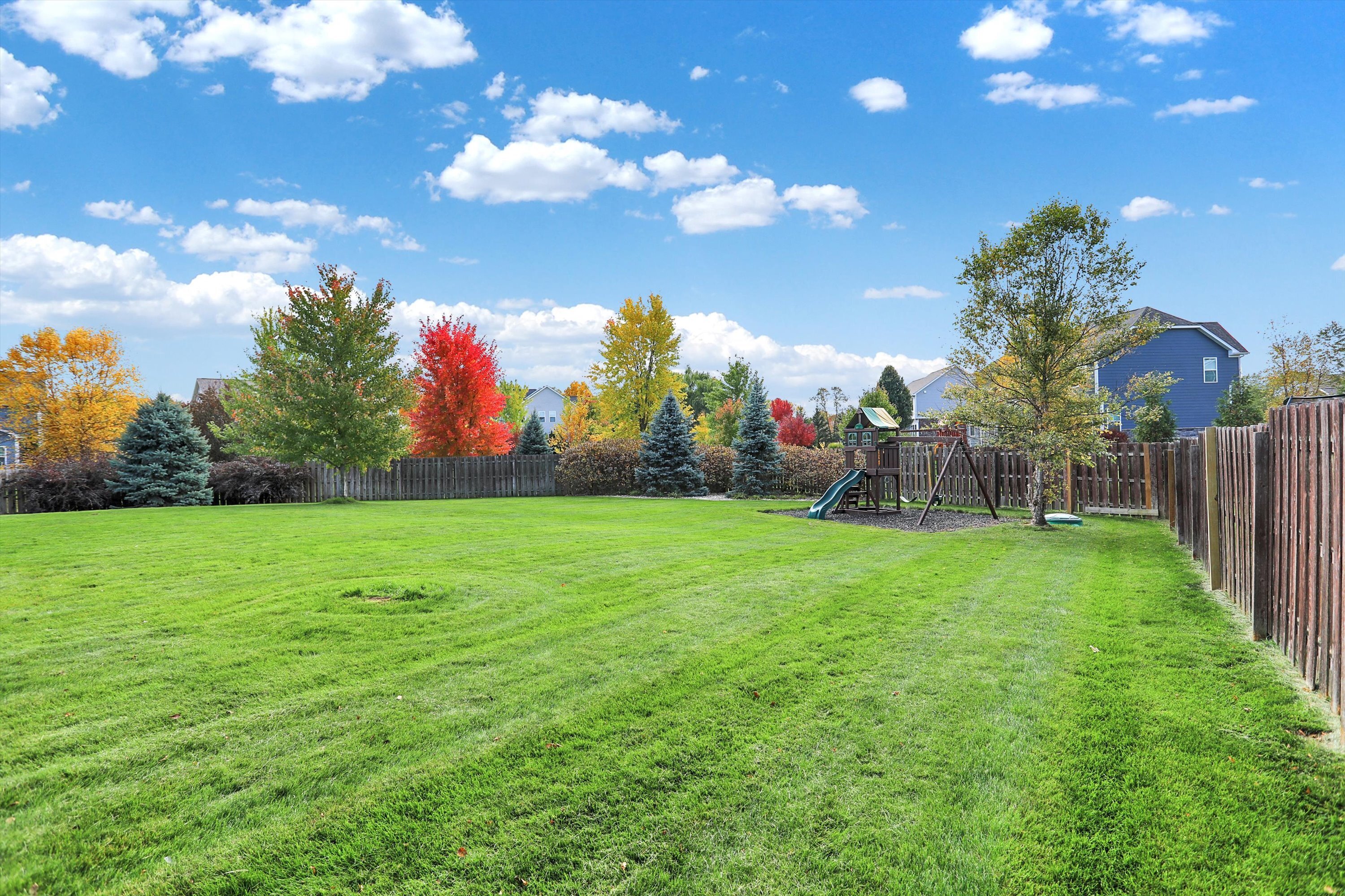 11175 Patmore Ash Drive