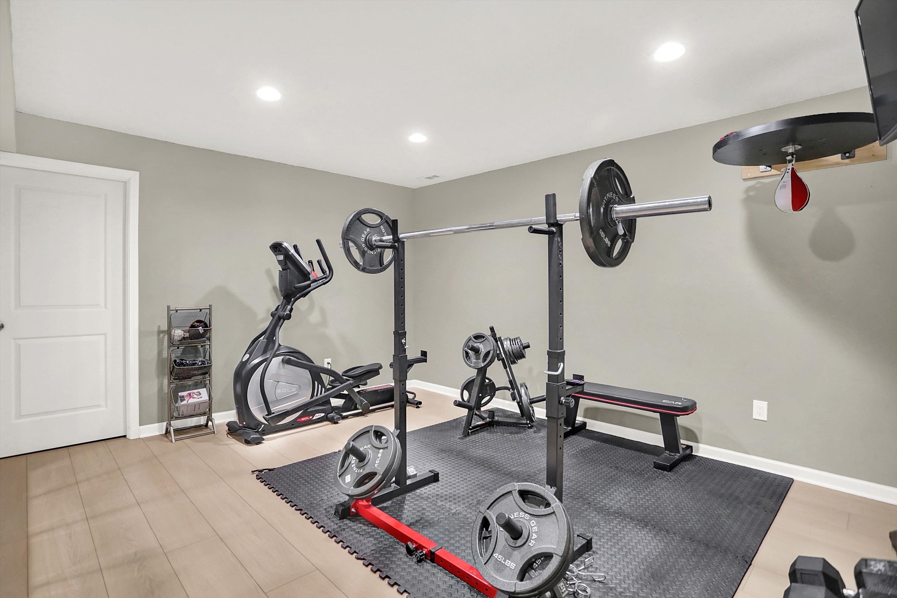 11175 Patmore Ash Drive