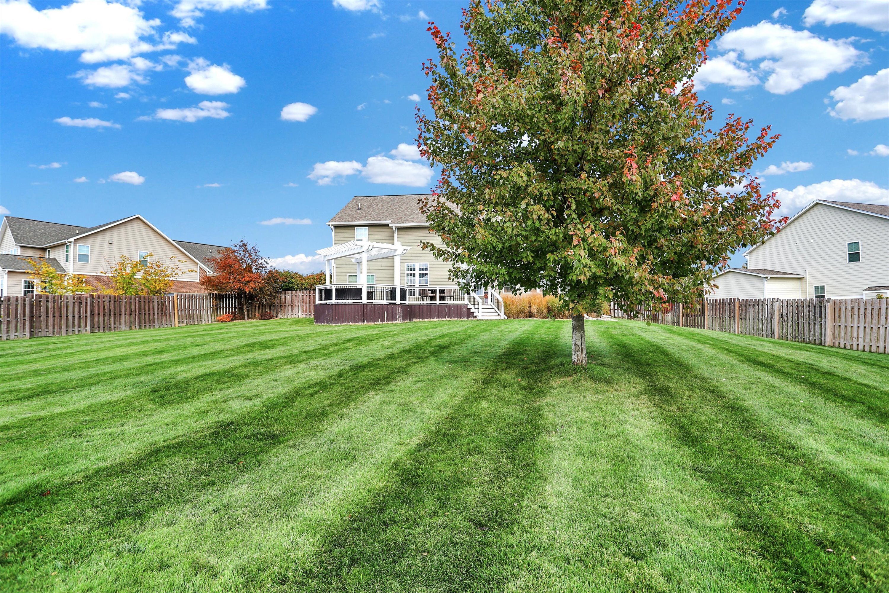 11175 Patmore Ash Drive