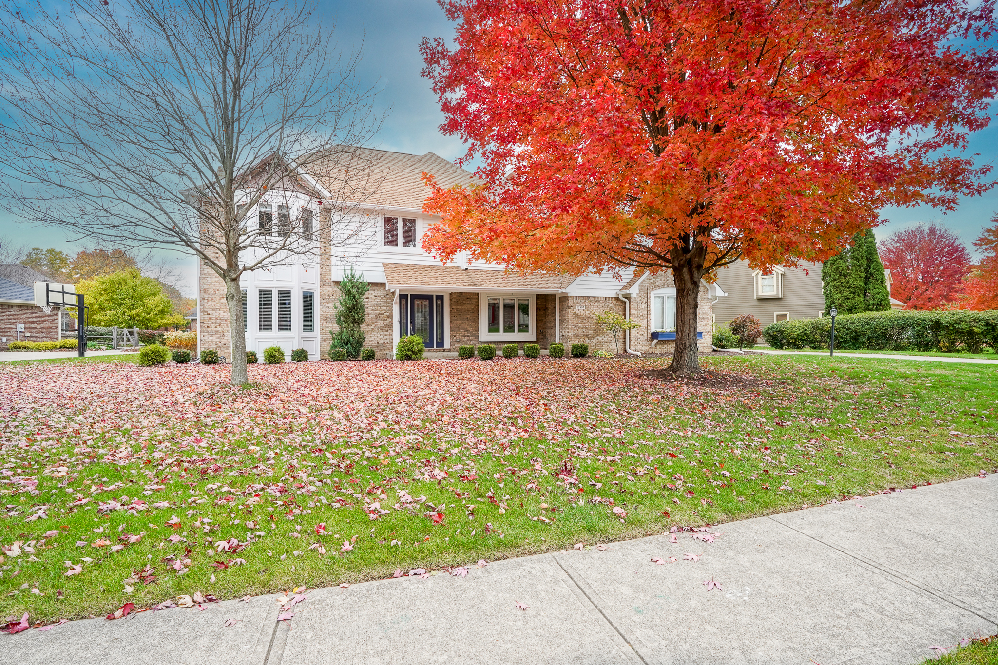 13897 Sandy Creek Court