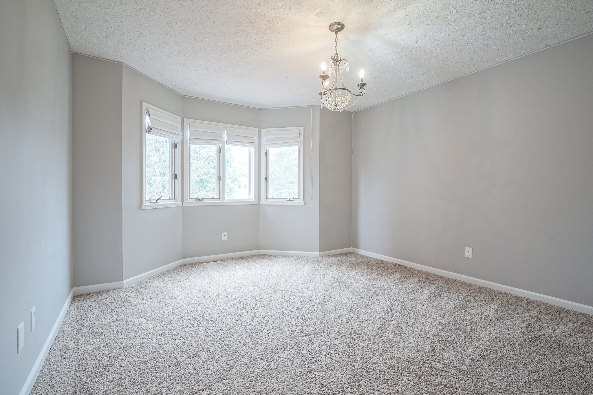 13897 Sandy Creek Court