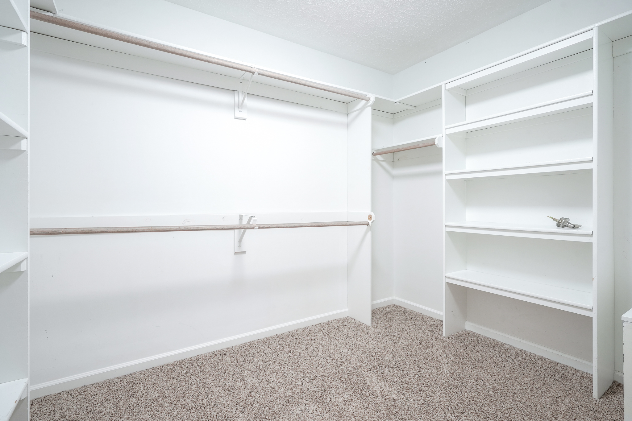 13897 Sandy Creek Court