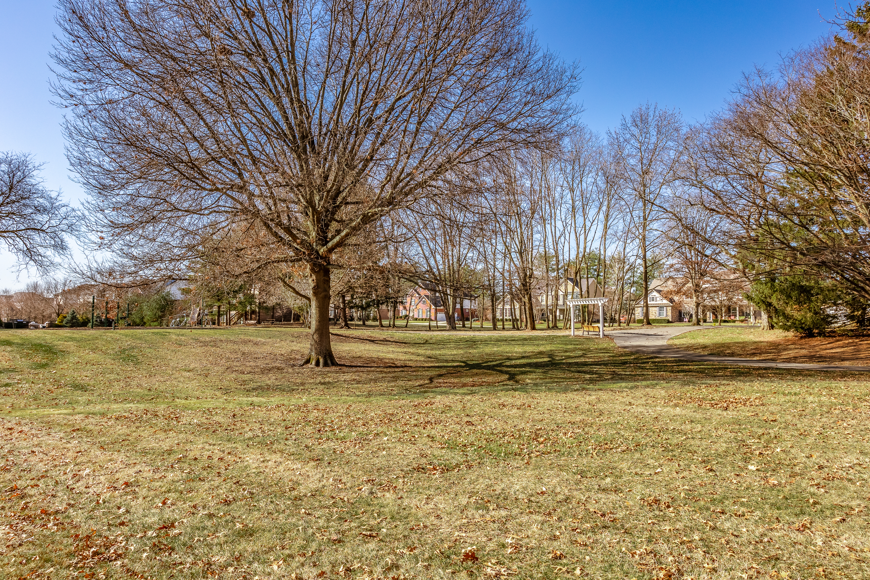 14370 Alderbrook Trail