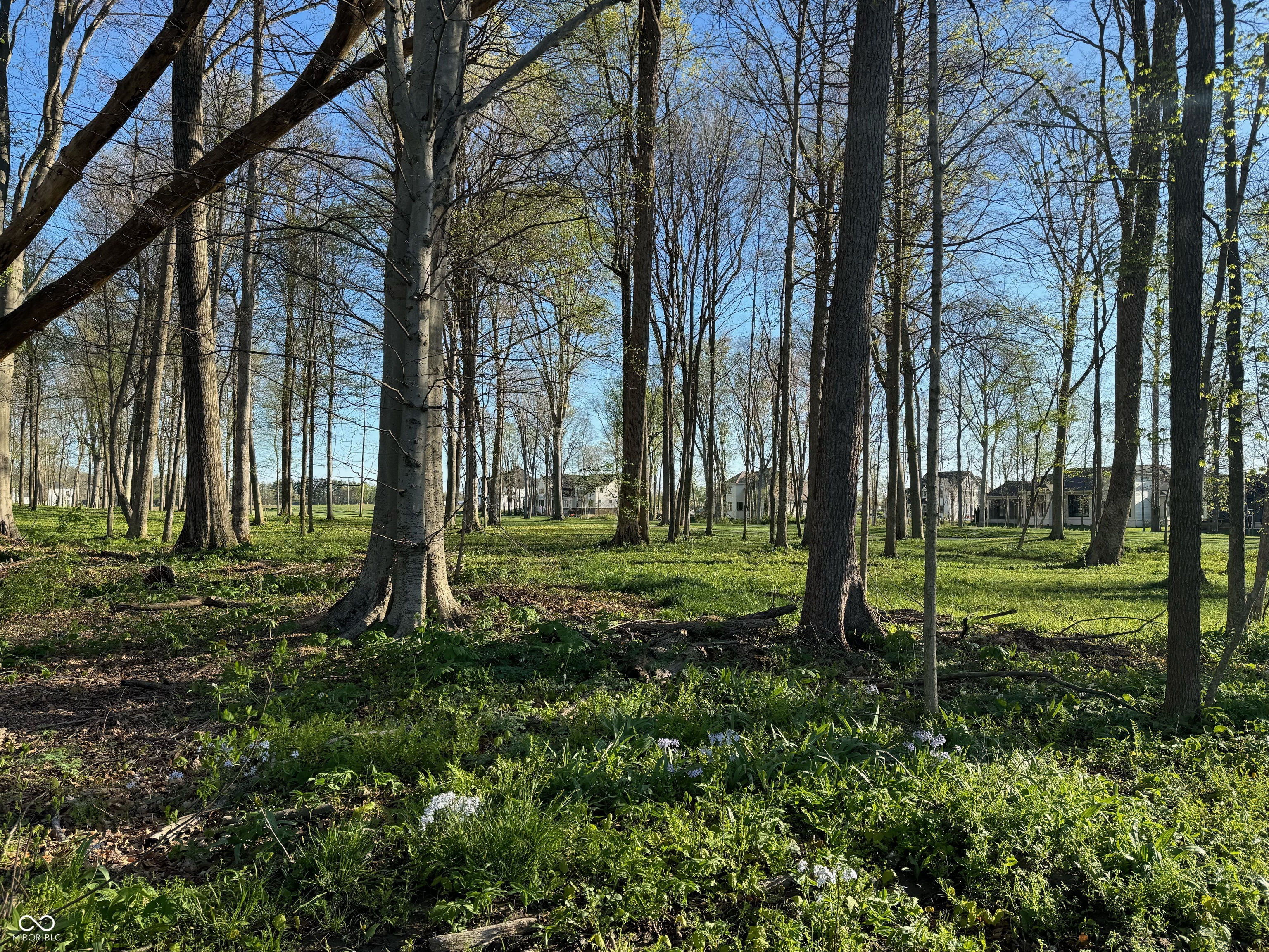 10770 Holliday Farms Boulevard