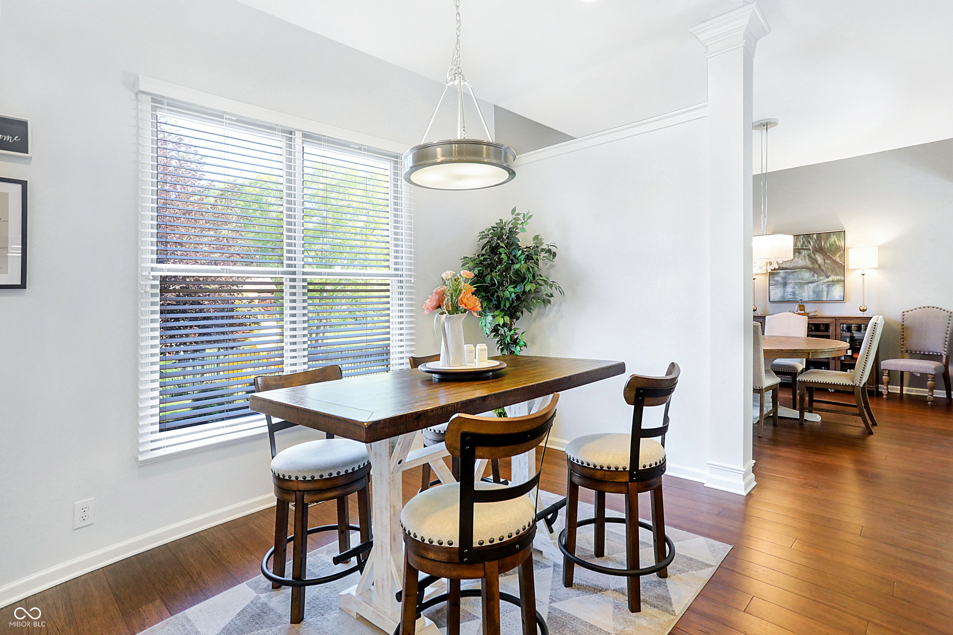 13491 Spring Farms Drive