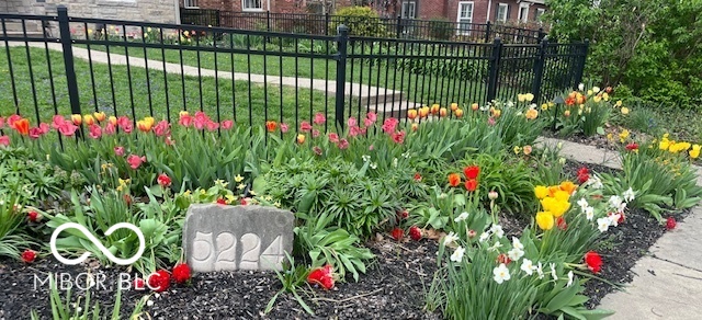 5224 Boulevard Place