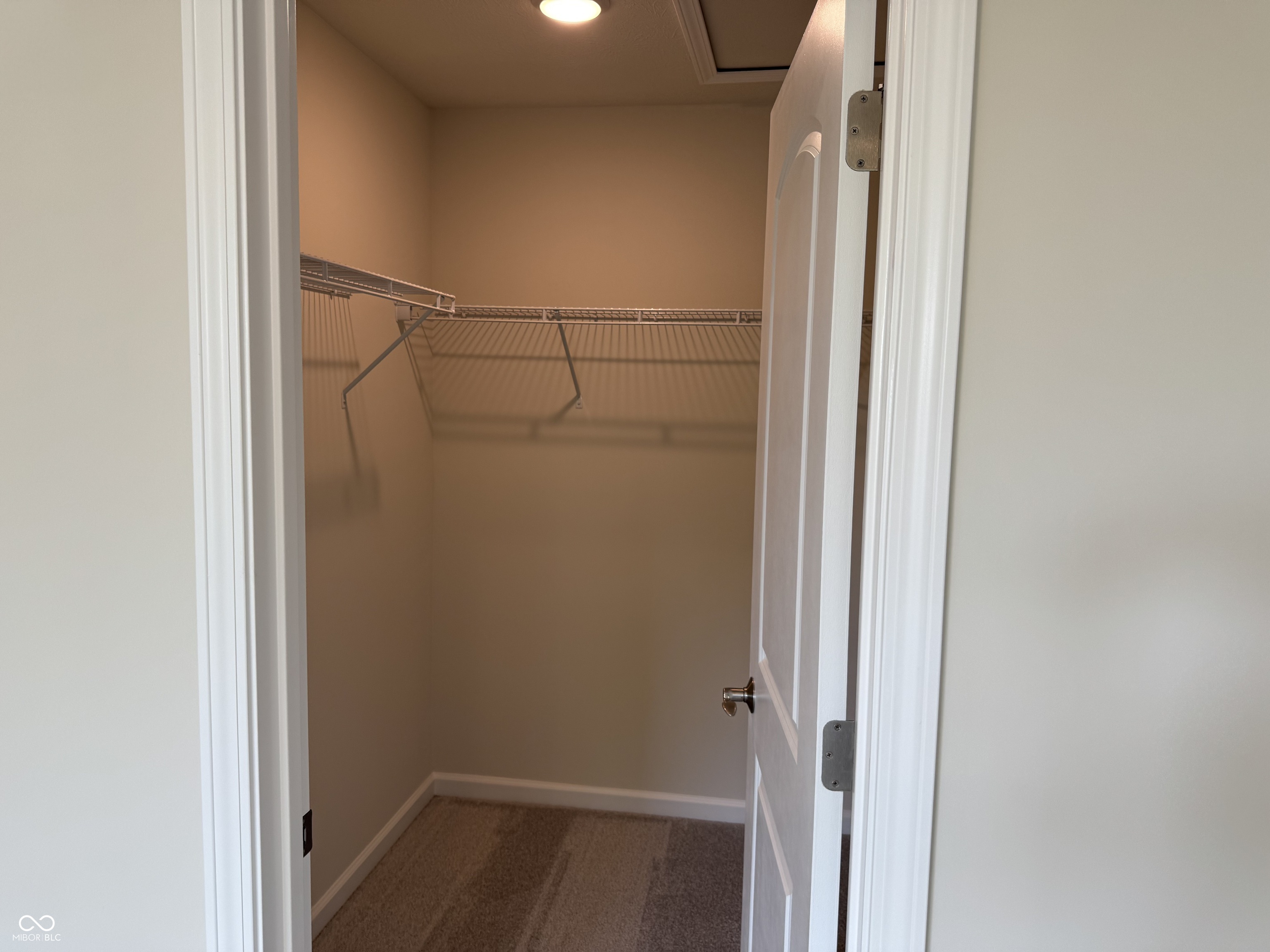 3291 Haflinger Drive