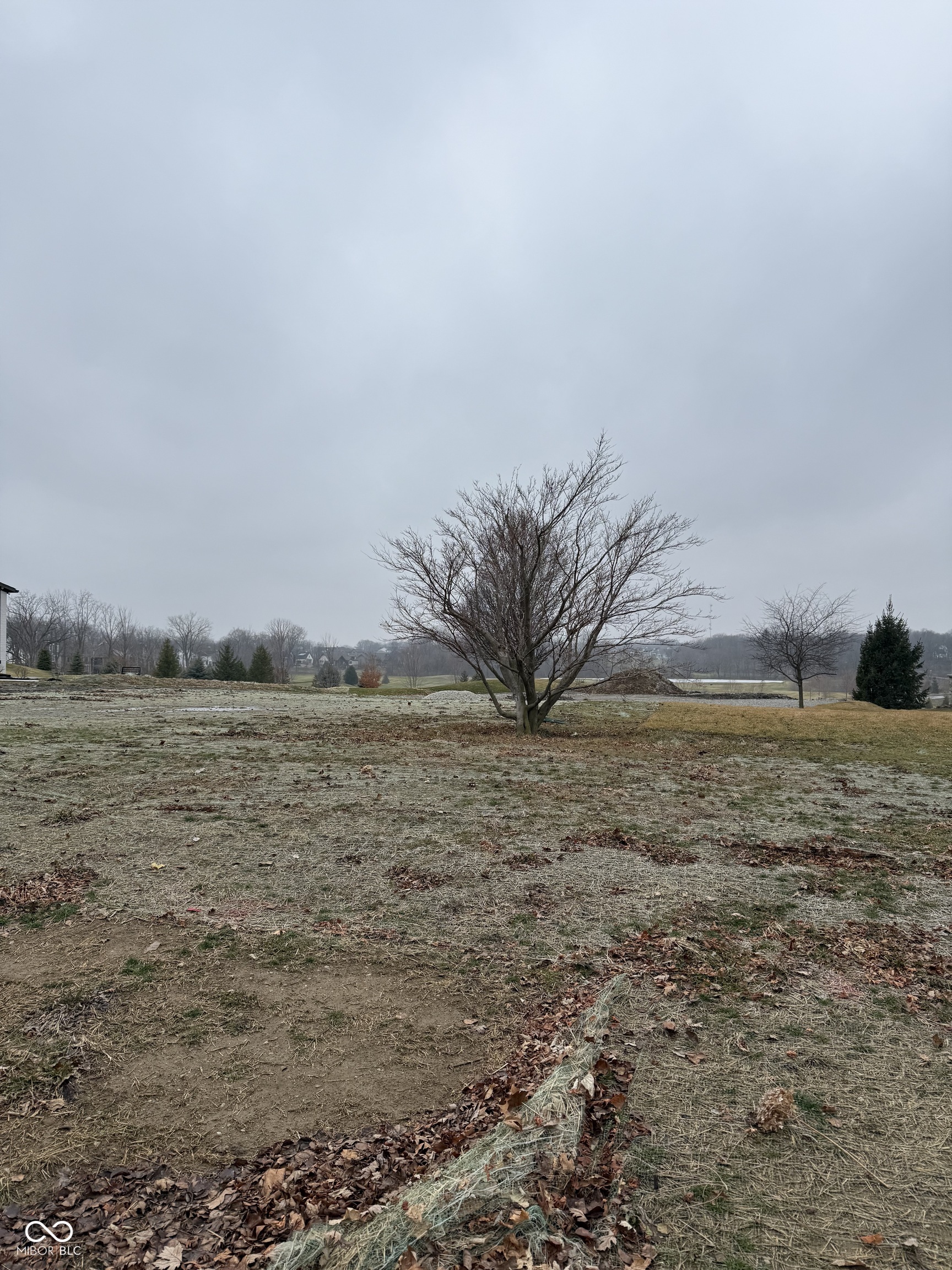 20408 Chatham Pointe Lane