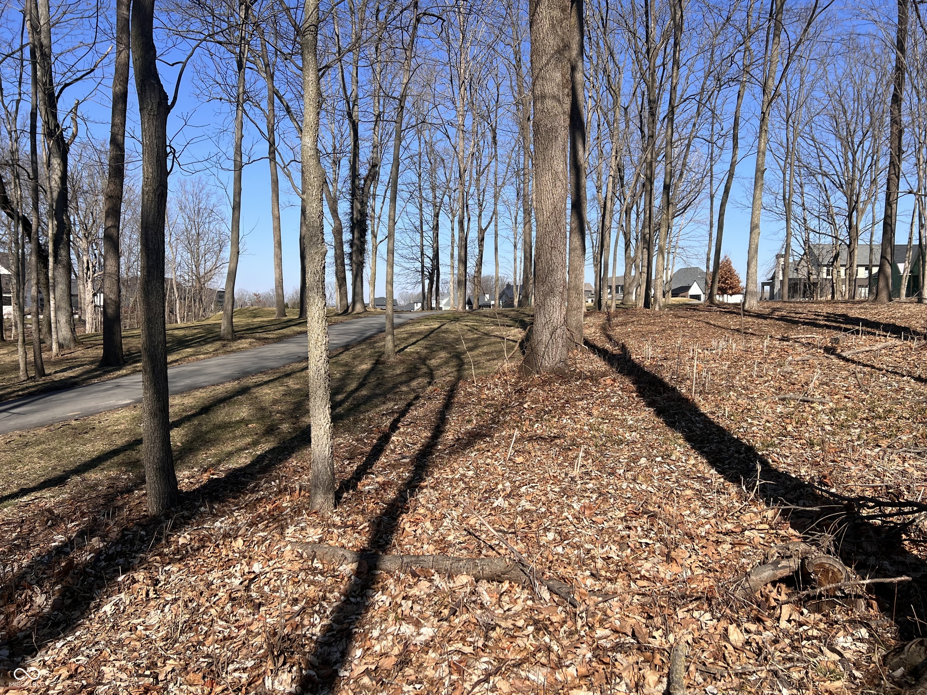 1589 Chatham Ridge Court